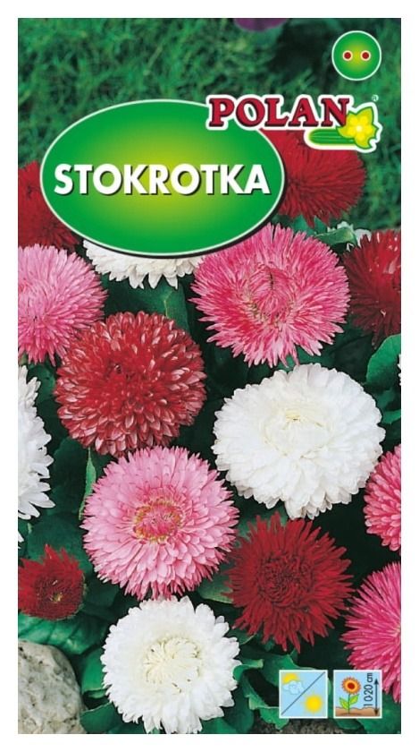 Stokrotka mix 0,2g Polan