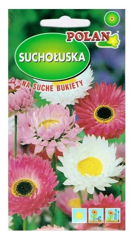 Suchołuska 2g Polan