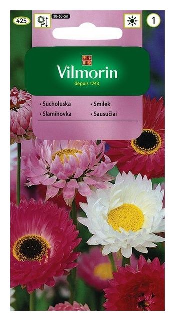 Suchołuska 2g Vilmorin