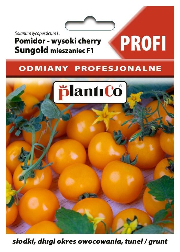 Pomidor Sungold F1 Profi