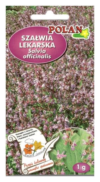 Szałwia lekarska 1g Polan
