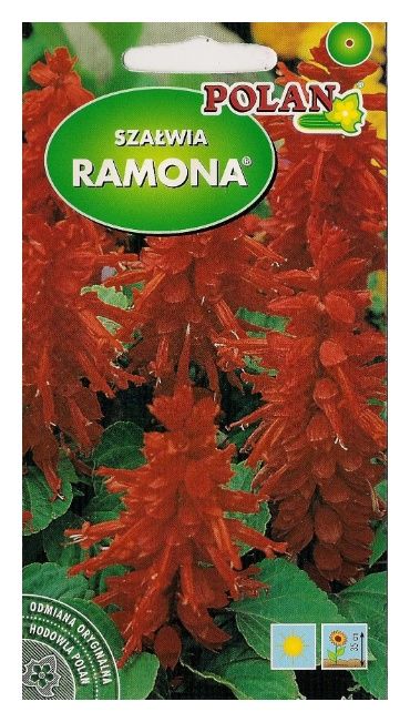 Szałwia Ramona 0,5g Polan
