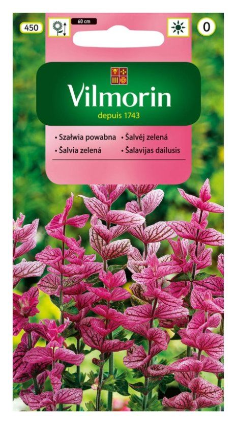 Szałwia powabna rózowa 0,5g Vilmorin