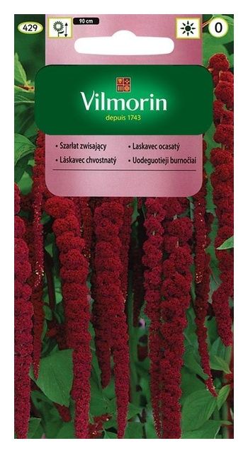 Szarłat Zwisający 2g Vilmorin