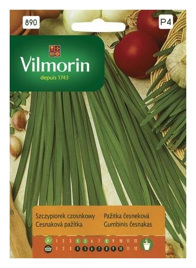 Szczypiorek czosnkowy 1g Vilmorin