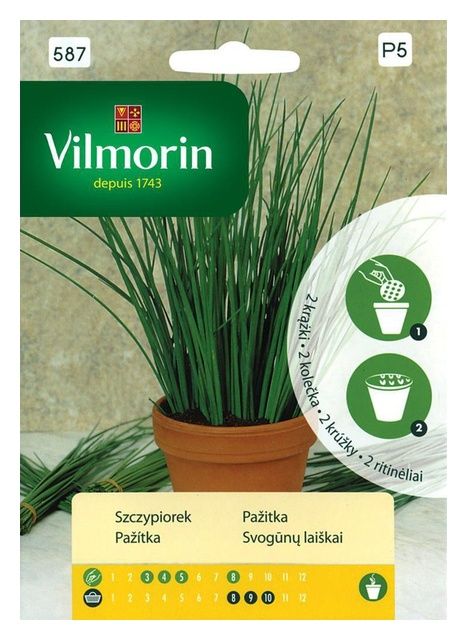 Szczypiorek nasiona na krążku 2 sztuki Vilmorin