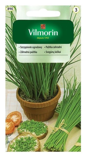 Szczypiorek ogrodowy Bohemia 2g Vilmorin