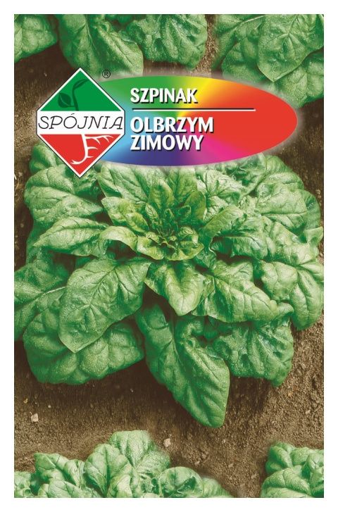 szpinak-olbrzym-zimowy-500g-plantico