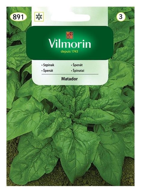 Szpinak Matador 20g Vilmorin