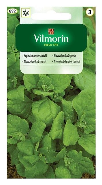 Szpinak Nowozelandzki 5g Vilmorin