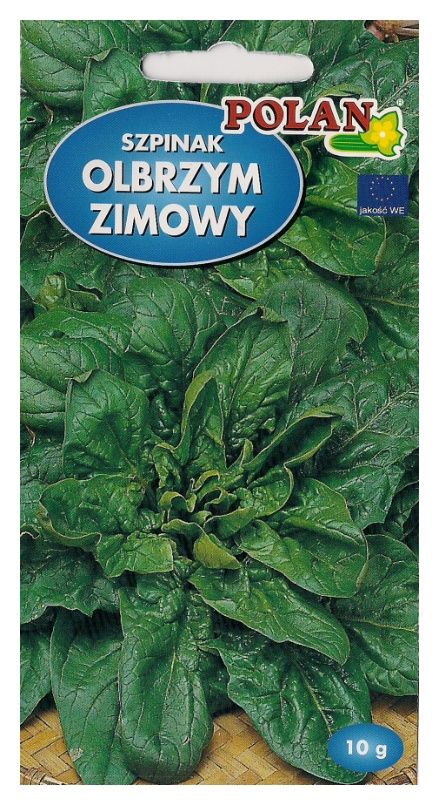 Szpinak Olbrzym Zimowy 10g Polan