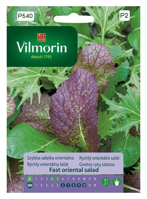 Szybka sałatka orientalna 2g Vilmorin