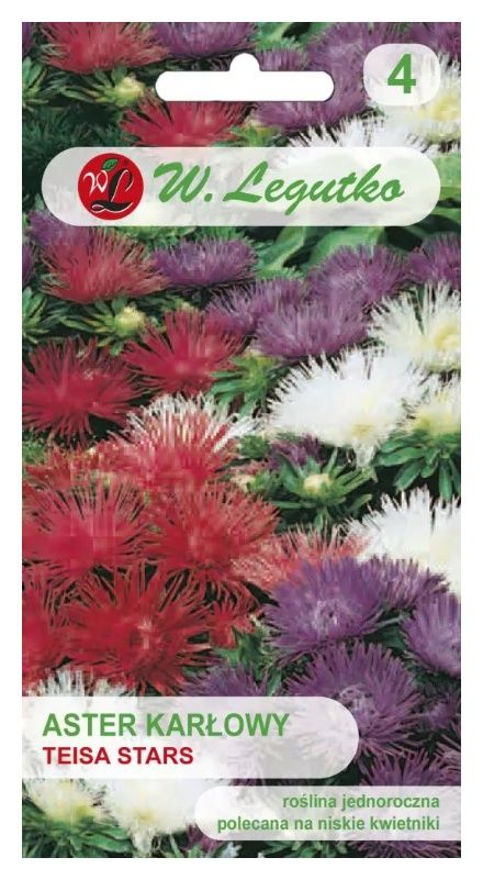 Aster chiński karłowy igiełkowy Teisa Stars 0,5g Legutko