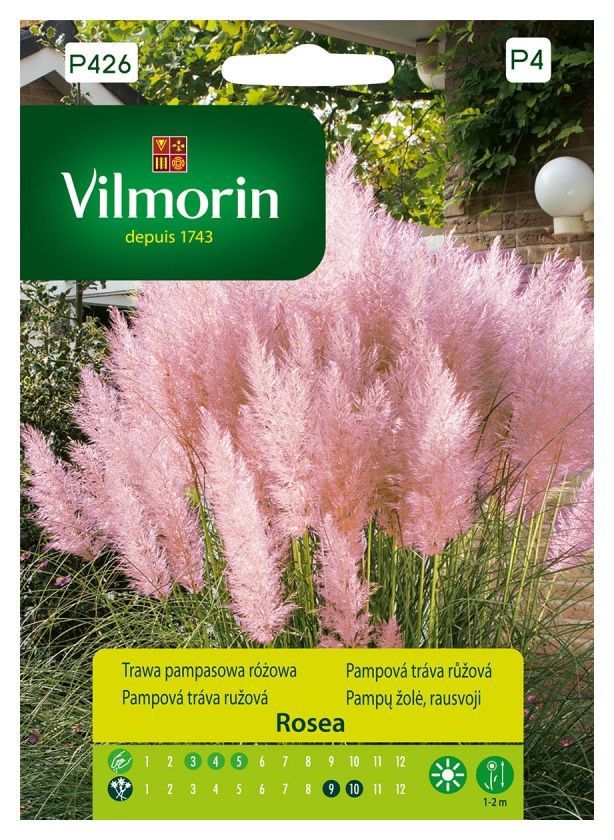 Trawa pampasowa różowa Rosea 0,1g Vilmorin