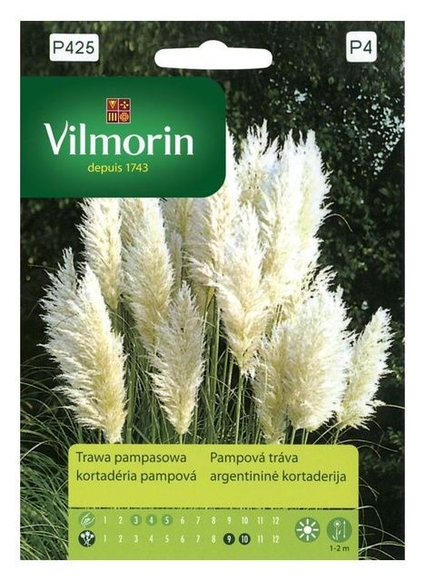 Trawa Pampasowa Vilmorin