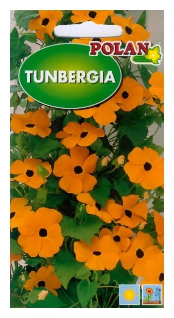 Tunbergia żólta 0,5g Polan