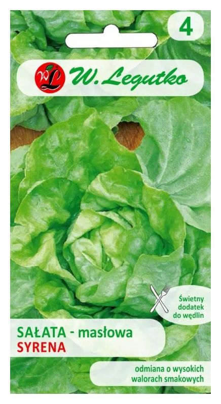 Sałata głowiasta masłowa Syrena 1g Legutko