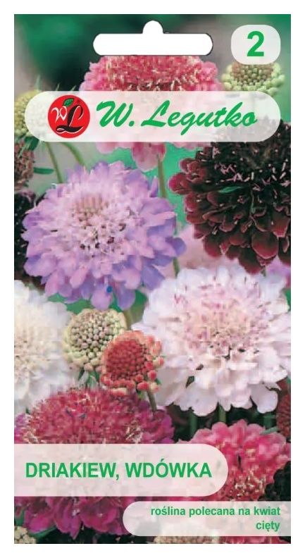 Driakiew Wdówka 0,5g Legutko