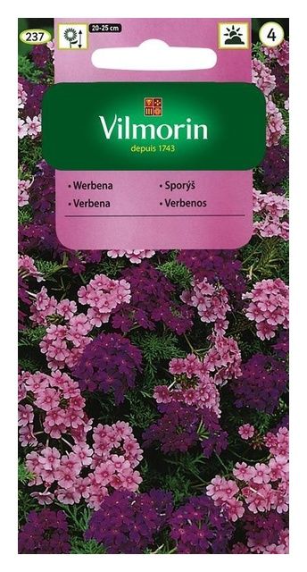 Werbena zwisająca 0,3g Vilmorin