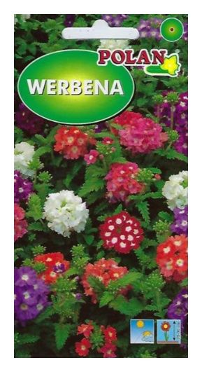 Werbena ogrodowa mix 0,5g Polan