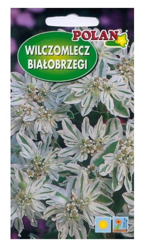 Wilczomlecz Białobrzegi 1g Polan