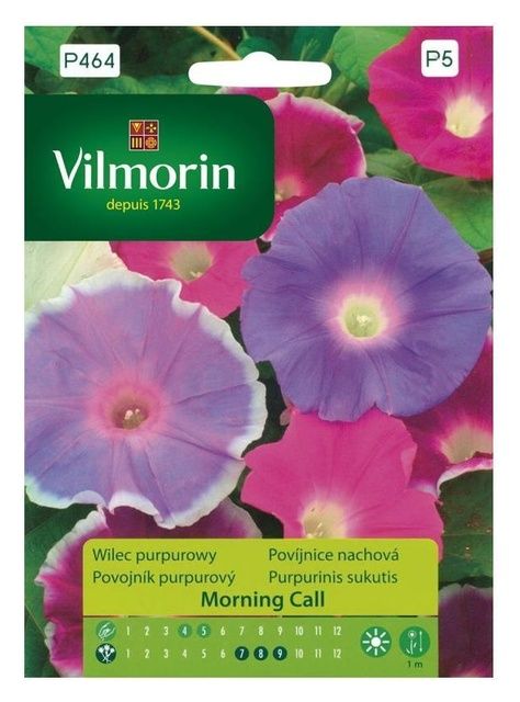 Wilec Morning Call Vilmorin