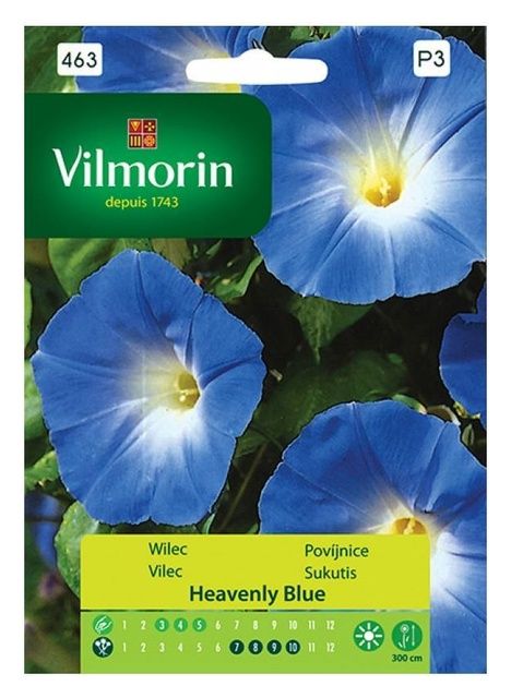 Wilec niebieski Heavenly Blue Vilmorin