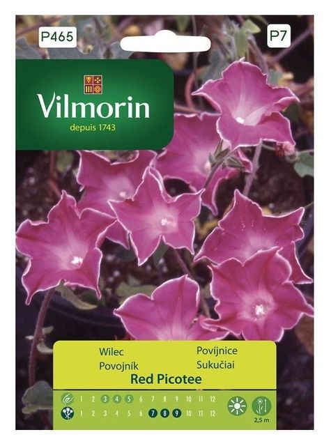Wilec Red Picotee Vilmorin