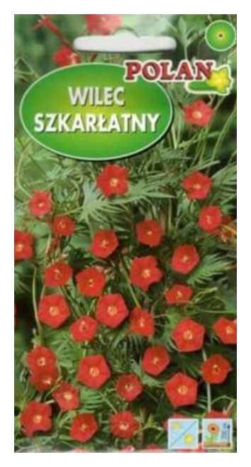 Wilec szkarłatny 1g Polan
