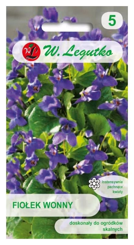 Fiołek wonny fioletowy 0,3g Legutko