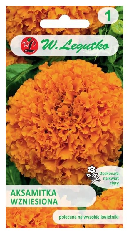 Aksamitka wzniesiona pomarańczowa 1g Legutko