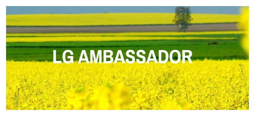 Rzepak ozimy Ambassador F1 C1 Lumiposa + Starcover Limagrain 