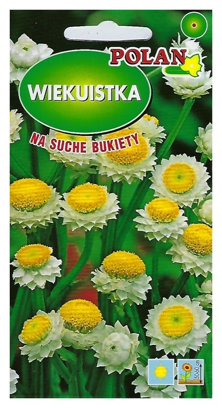 Wiekuistka biała 1g Polan