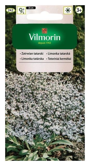 Zatrwian tatarski 0,2g Vilmorin