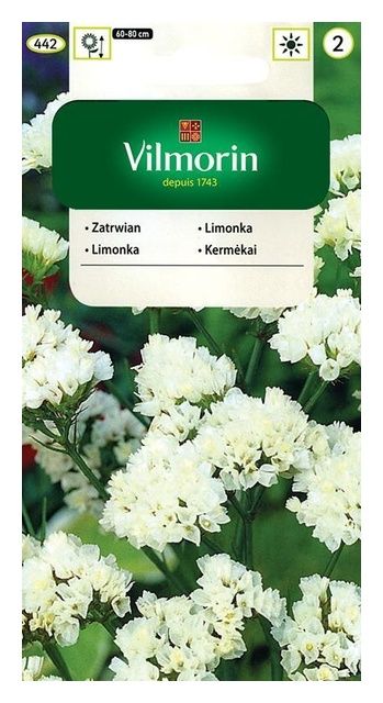 Zatrwian wrębny biały 0,2g Vilmorin