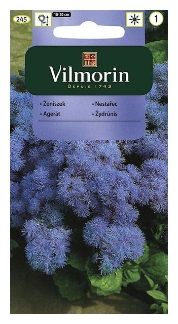 Żeniszek Meksykański niebieski 0,5g Vilmorin