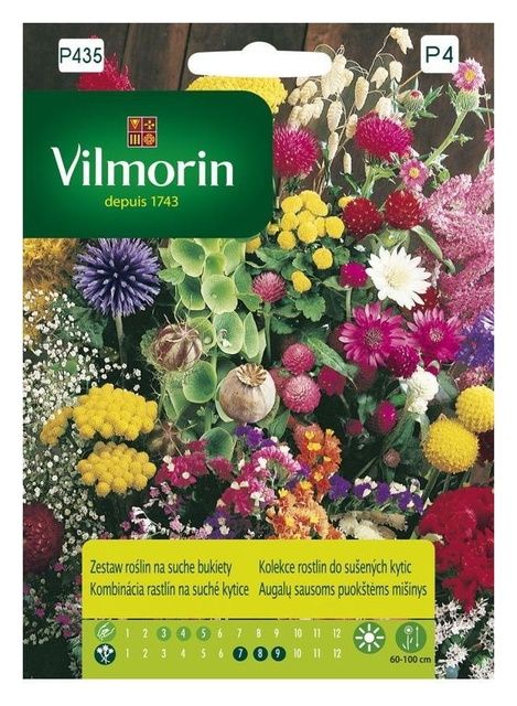 Zestaw roślin na suche bukiety Vilmorin
