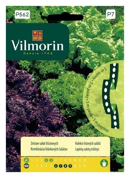 Zestaw sałat liściowych na taśmie 5m Vilmorin
