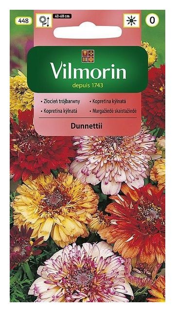 Złocień Trójbarwny Dunnettii 0,3g Vilmorin