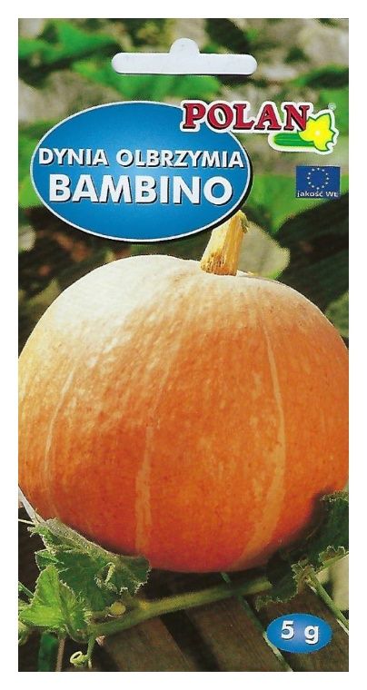 Dynia Bambino 5g Polan