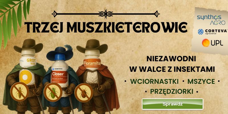 Trzej Muszkieterowie - GROT, CLOSER, FLORAMITE
