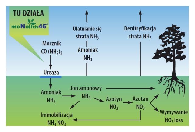 Działanie inhibitora ureazy moNolith 46 żółty 