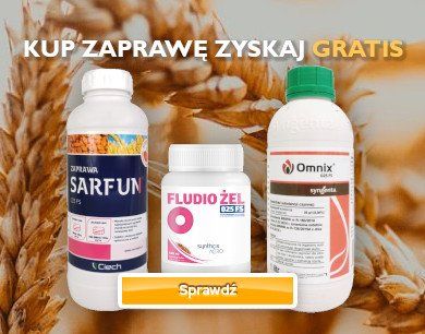 Zaprawa zbożowa