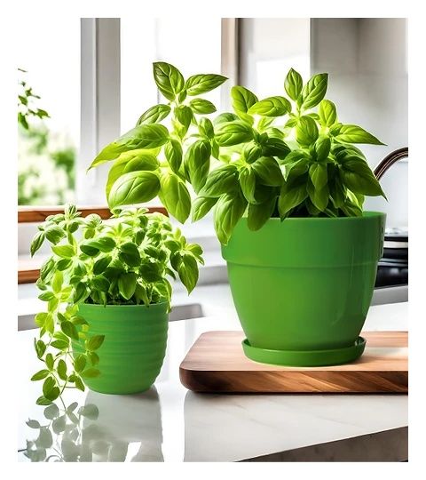 Doniczka Orchidea Nowa Szemikowie