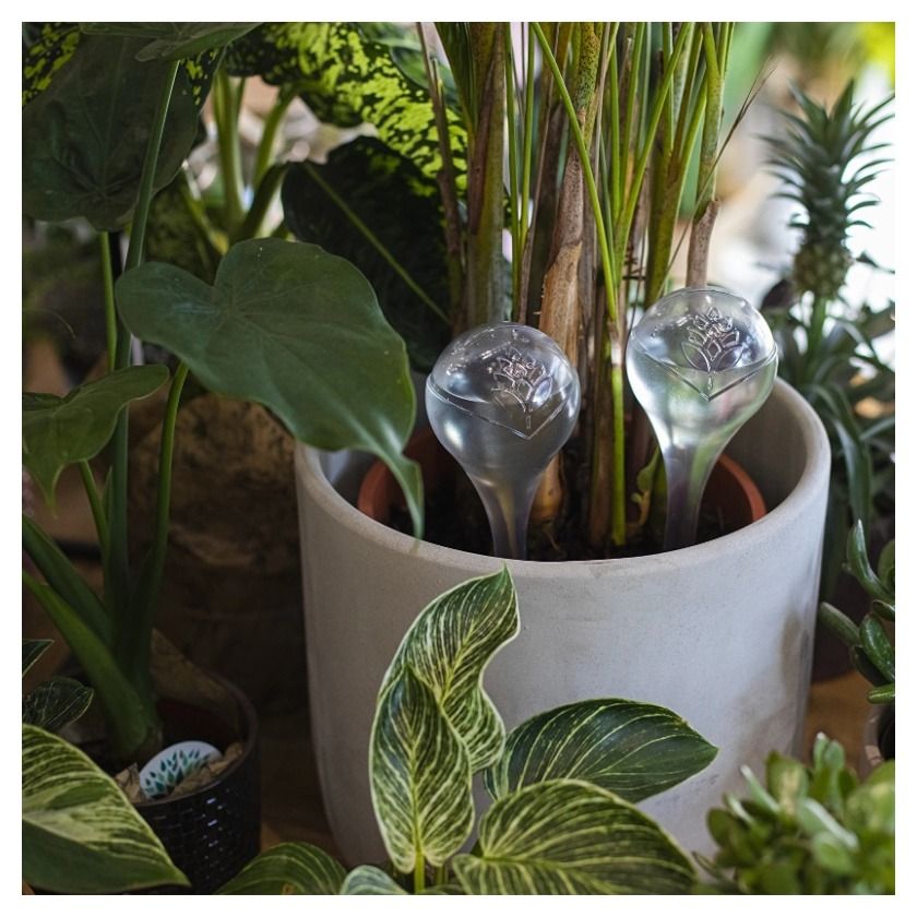 Kule nawadniające przezroczyste 2szt Browin123