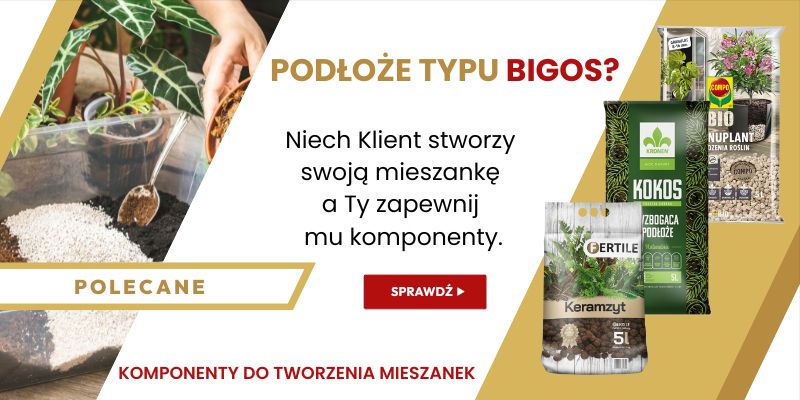 PODŁOŻA - BIGOS B2B WIALAN - Grafika