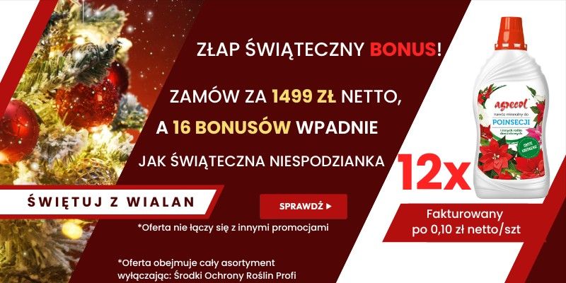 AKCJA ŚWIĄTECZNA B2B - Grafika