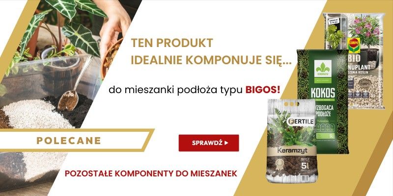 PODŁOŻA - Bigos 2025 B2B WIALAN - Grafika