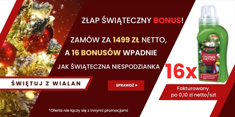 AKCJA ŚWIĄTECZNA B2B AKCJA ŚWIĄTECZNA B2B - Grafika