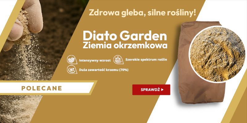 Diato Garden Ziemia Okrzemkowa 2025 B2B WIALAN - Grafika